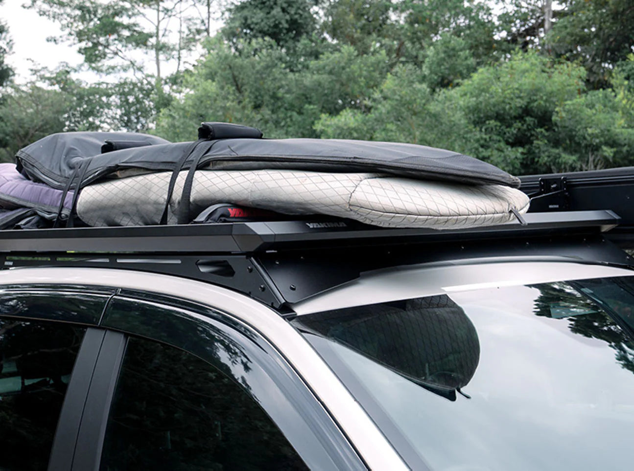 Rugged Line HD - BYD Shark