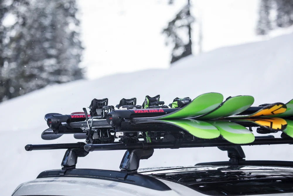 FatCat 6 EVO Black