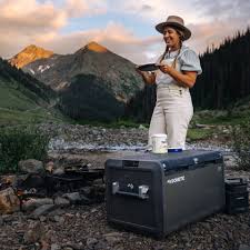 Dometic FRG&FZR COMP PORTABLE CFX595DZ