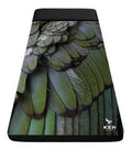 Kea Nest Feather